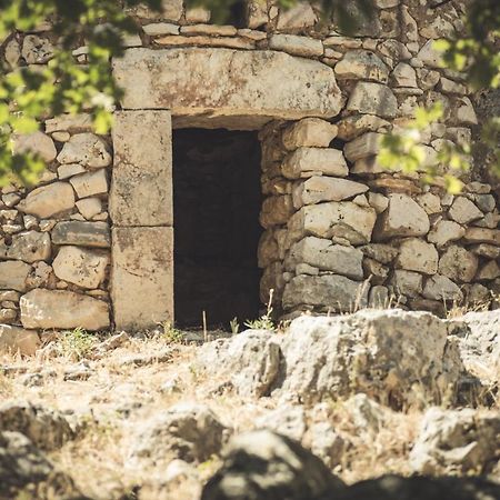 Masseria Storica Pilapalucci Toritto Экстерьер фото